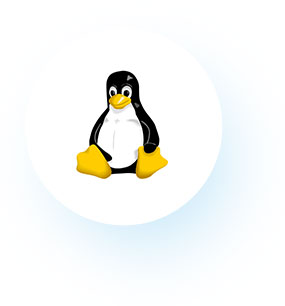 Linux Linux
